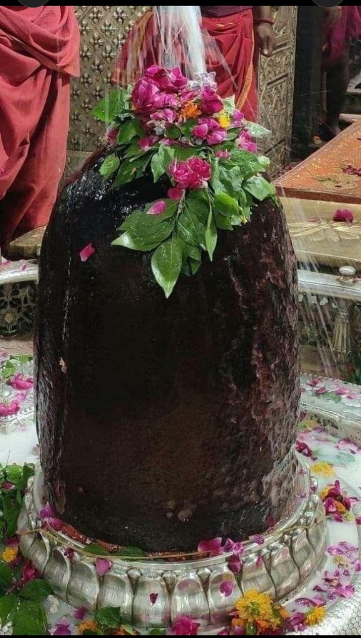 Rudra Homam